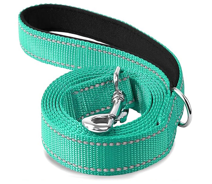 Joytale Double-Sided Reflective Dog Leash