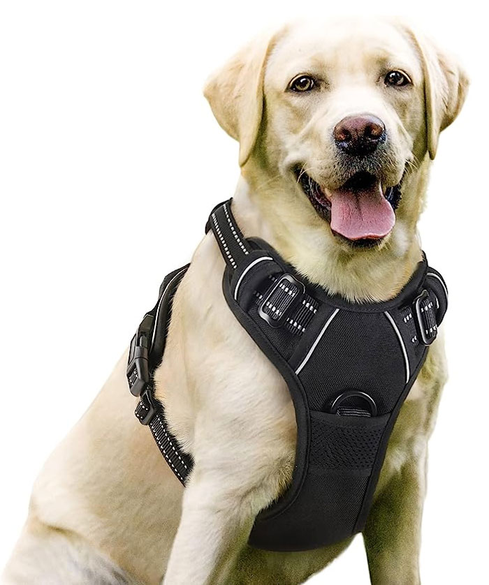 Rabbitgoo Dog Harness