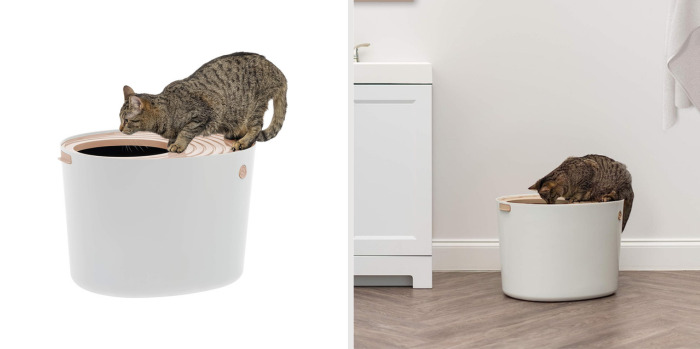 Iris USA Top Entry Cat Litter Box