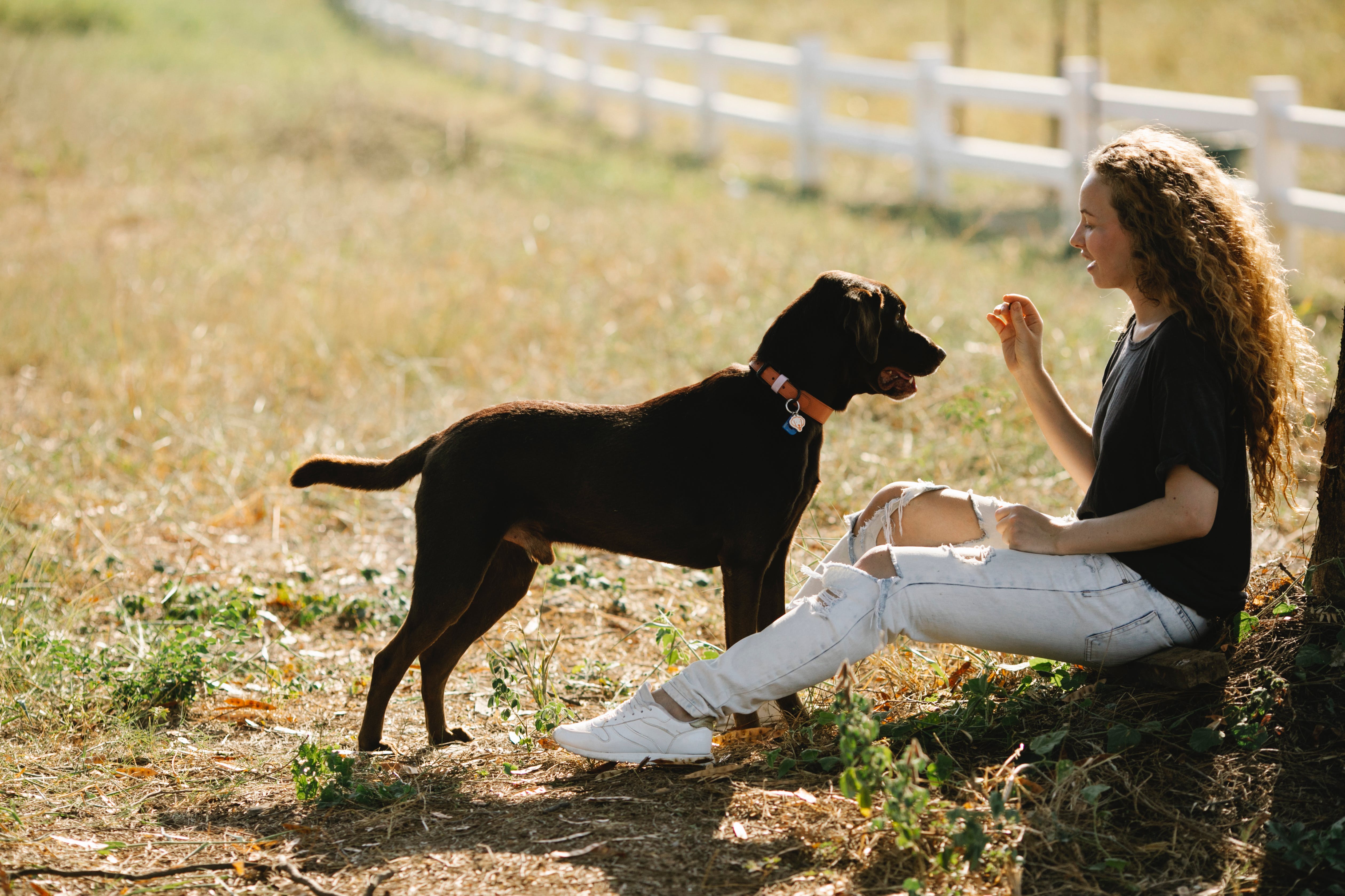 Woman training black dog