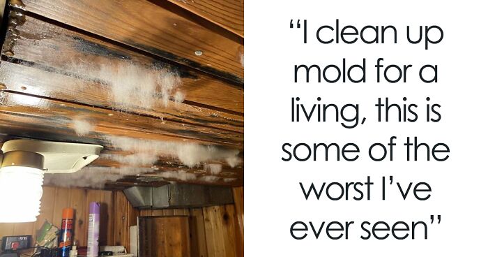 People Online Share Pictures Of Mold That They Would Like To Pet (73 Pics)