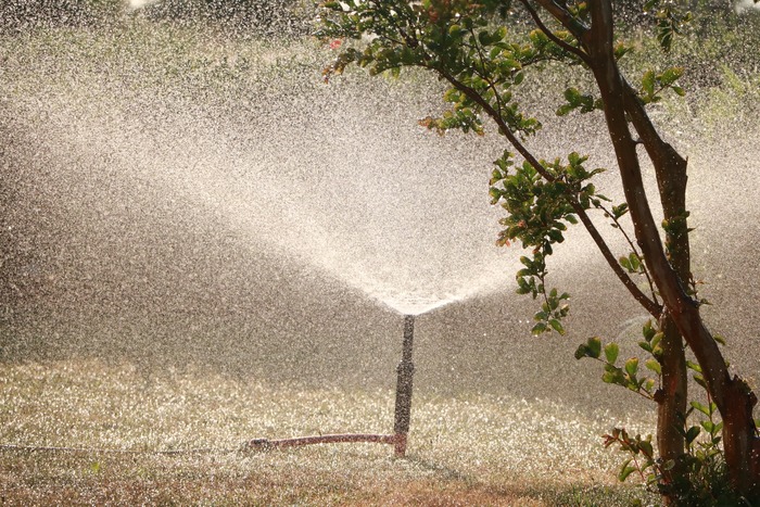 sprinkler system on the yard