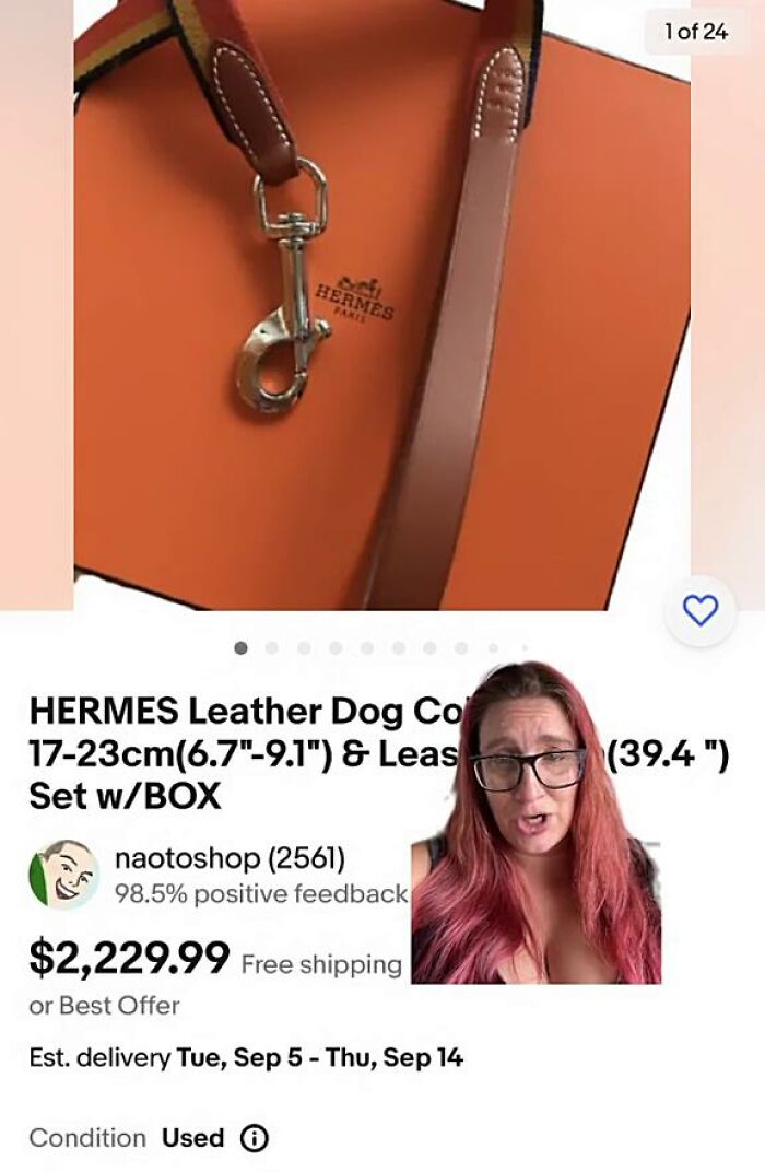 This Is A $2200 Hermes Dog Leash And This Is On Ebay. Do Rich People Even Shop On Ebay?