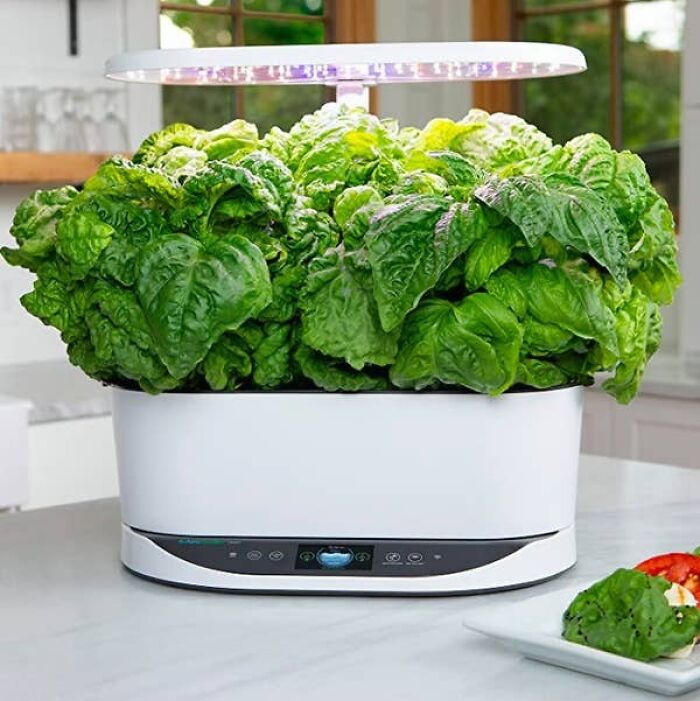 An Investment-Worthy Aerogarden That'll Grow Herbs, Salads, Tomatoes, And Peppers In A Neat And Orderly Fashion. This Is A Hydroponic Growing System With No Soil And Will Grow Your Plants In ~no Thyme~ Even If You Have Little To No Sunlight To Work With!