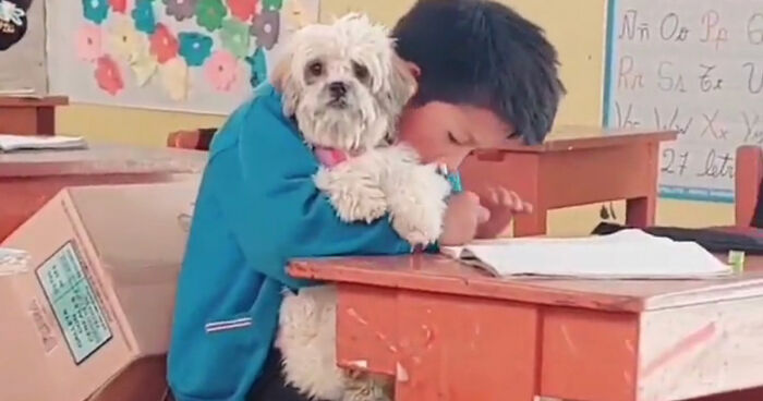 Student Going Through Hardships Asks Teacher If He Can Bring His Dog To School