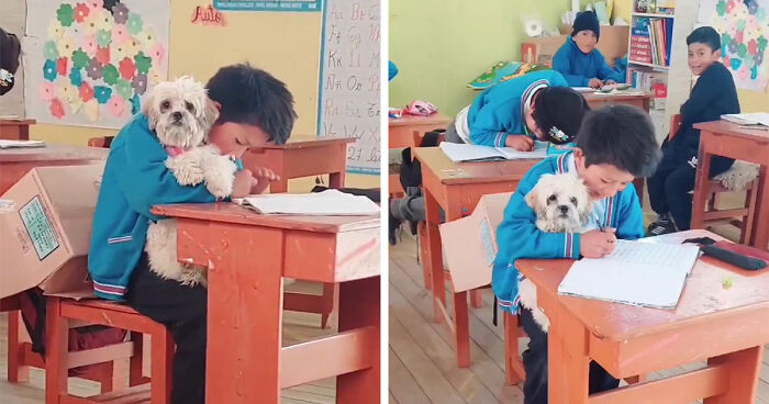 Student Going Through Hardships Asks Teacher If He Can Bring His Dog To School