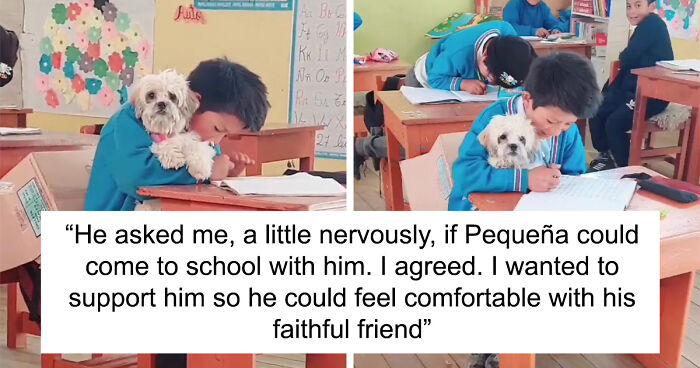 Student Going Through Hardships Asks Teacher If He Can Bring His Dog To School