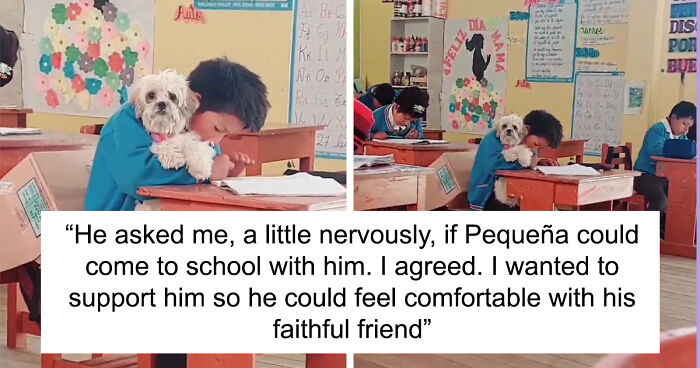 Student Going Through Hardships Asks Teacher If He Can Bring His Dog To School