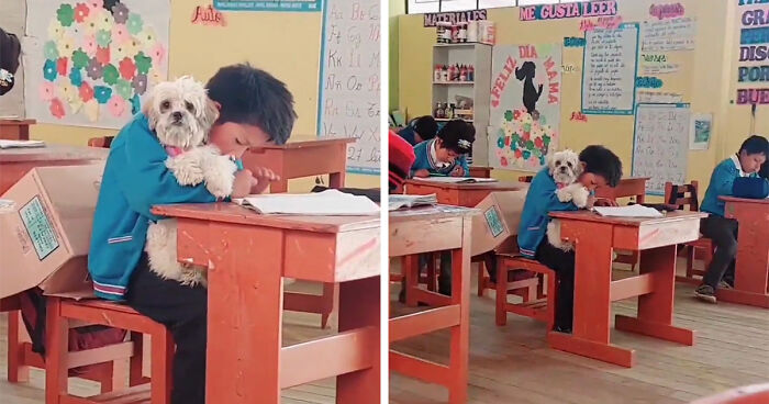 Student Going Through Hardships Asks Teacher If He Can Bring His Dog To School