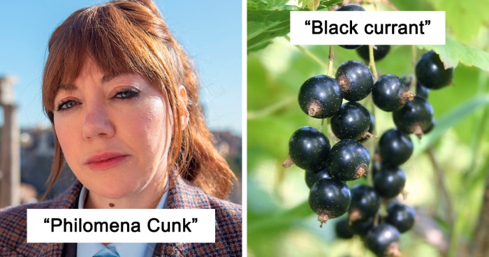 46 Normal Things In Britain That Seem To Not Exist In America