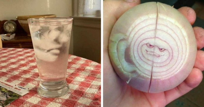 80 Funny Examples Of Regular Objects Suddenly Showing Human Characteristics