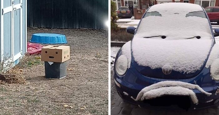 80 Times Ordinary Items Were Pulling A Face