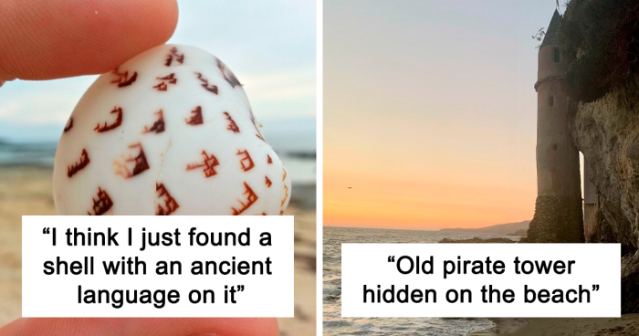 120 Of The Most Interesting Things People Ever Found On The Beach (New Pics)