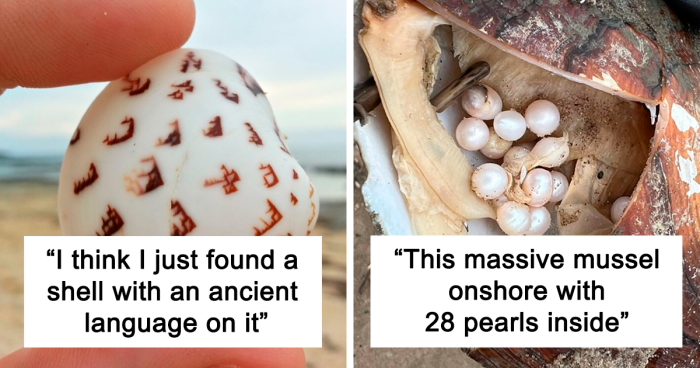 120 Amazing Things People Found While Beachcombing (New Pics)