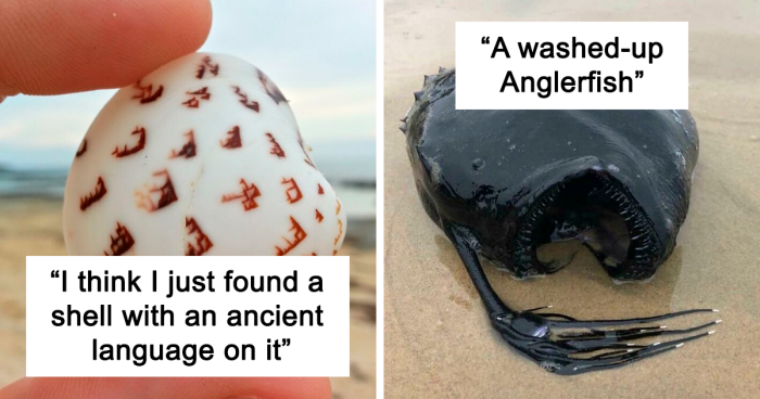 120 Interesting And Unexpected Things People Have Found On The Beach (New Pics)