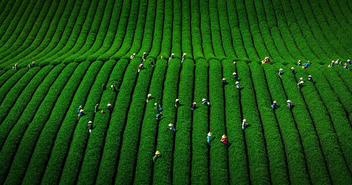 Breathtaking Bird's-Eye View Of Vietnam, 39 Pictures By Khánh Phan