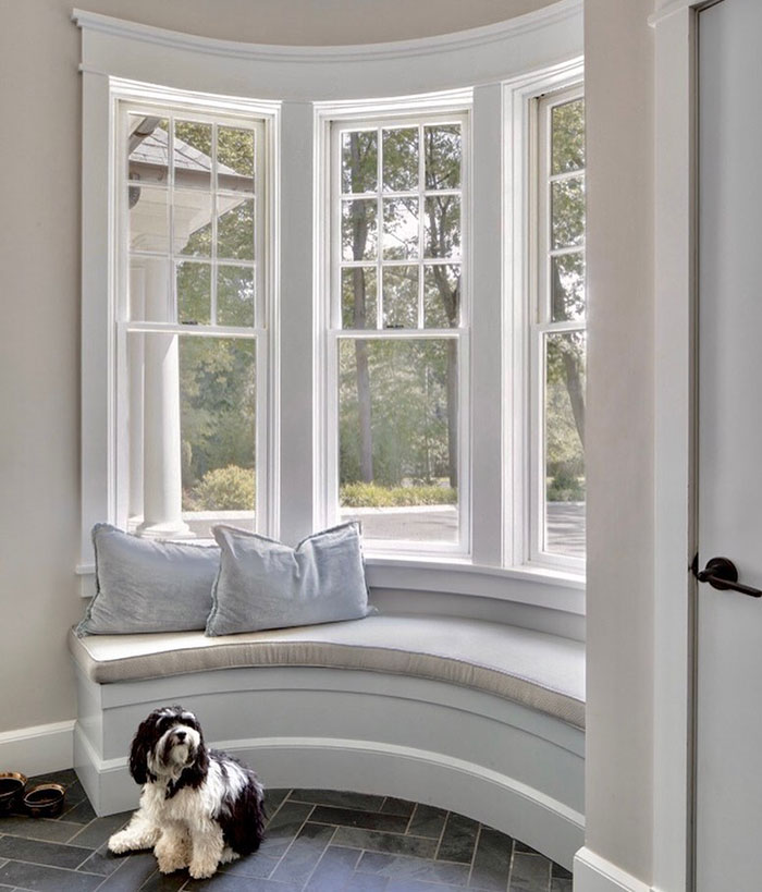 Curved white window seat with a dog 