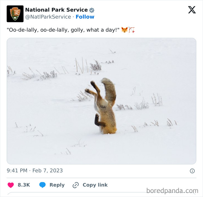 Funny-National-Park-Service-Twitter-Posts