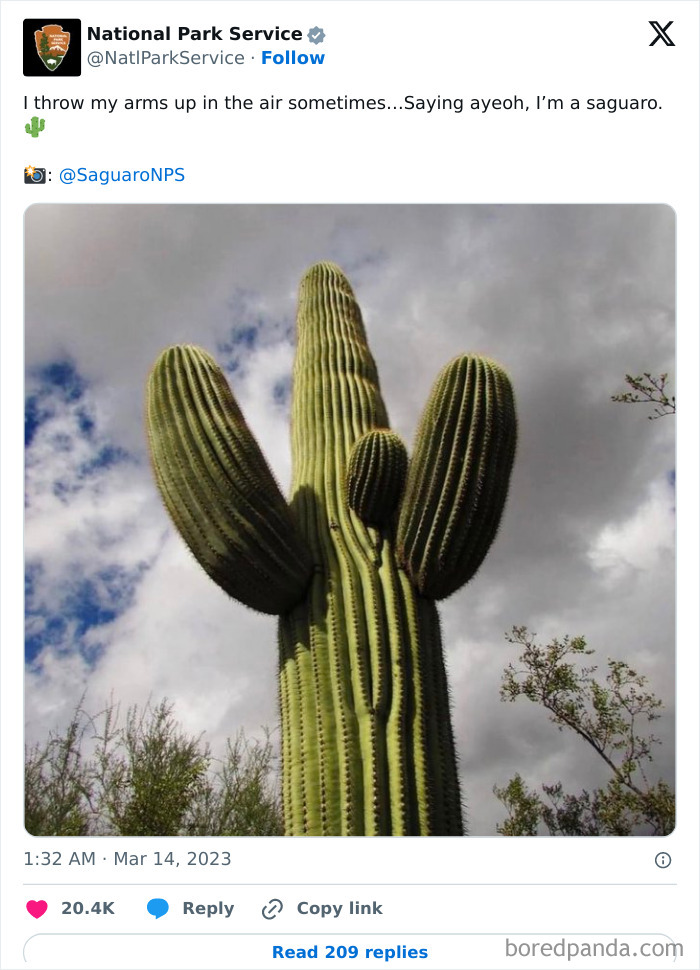 Funny-National-Park-Service-Twitter-Posts