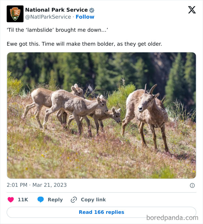 Funny-National-Park-Service-Twitter-Posts