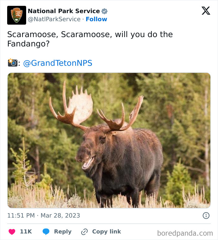 Funny-National-Park-Service-Twitter-Posts