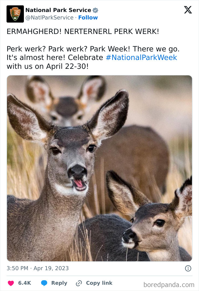 Funny-National-Park-Service-Twitter-Posts