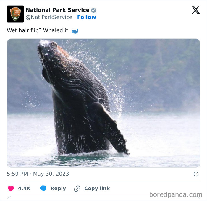 Funny-National-Park-Service-Twitter-Posts