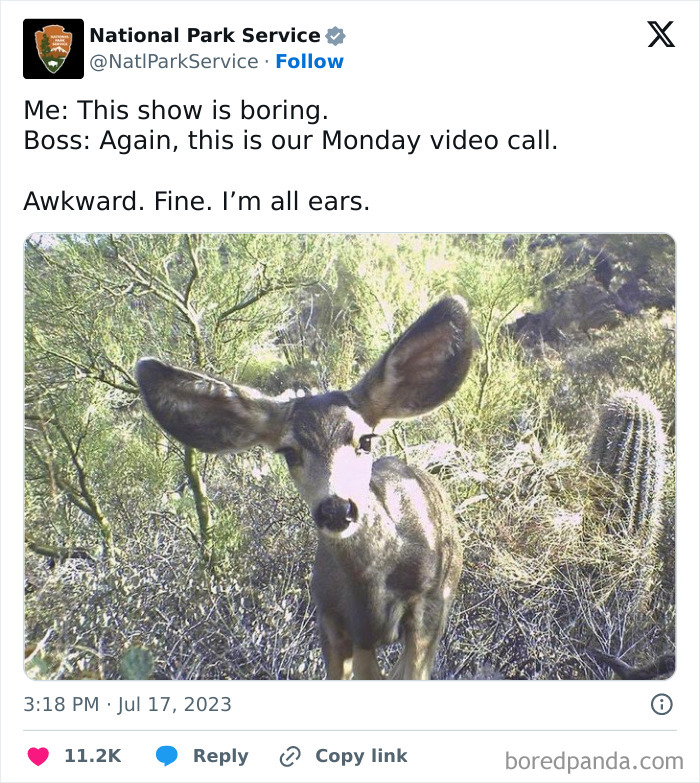 Funny-National-Park-Service-Twitter-Posts