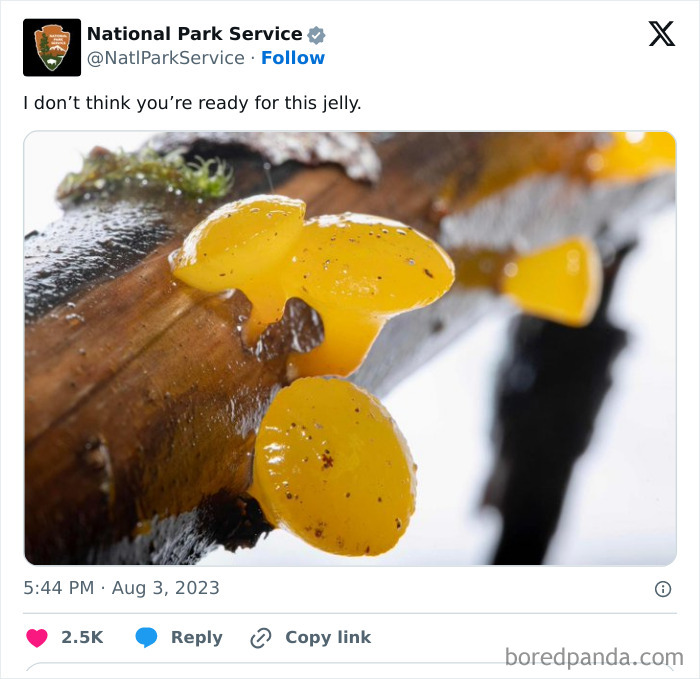 Funny-National-Park-Service-Twitter-Posts