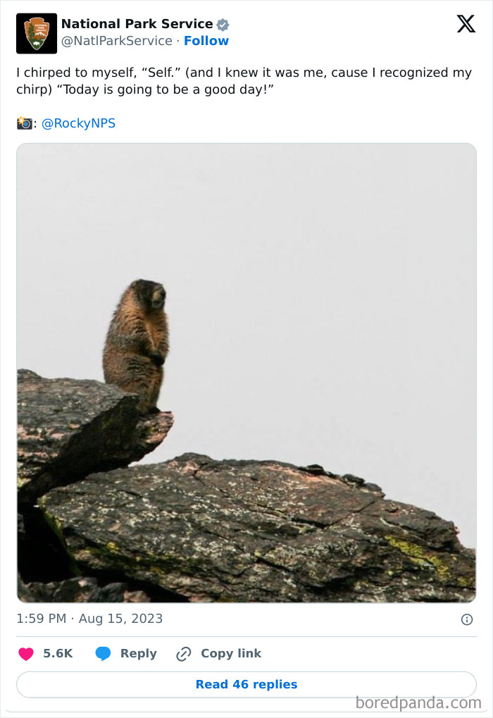 Funny-National-Park-Service-Twitter-Posts