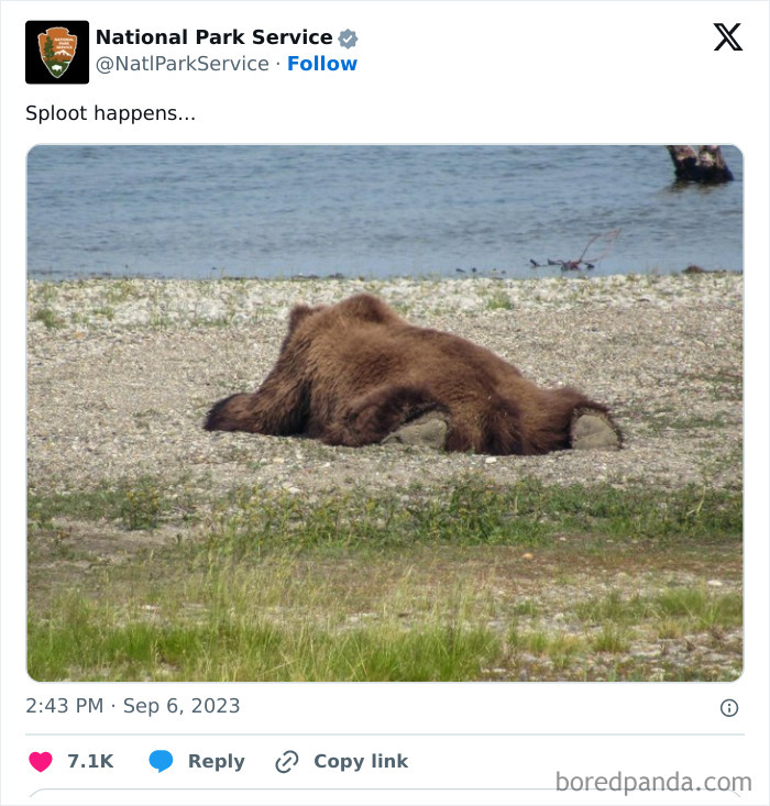 Funny-National-Park-Service-Twitter-Posts