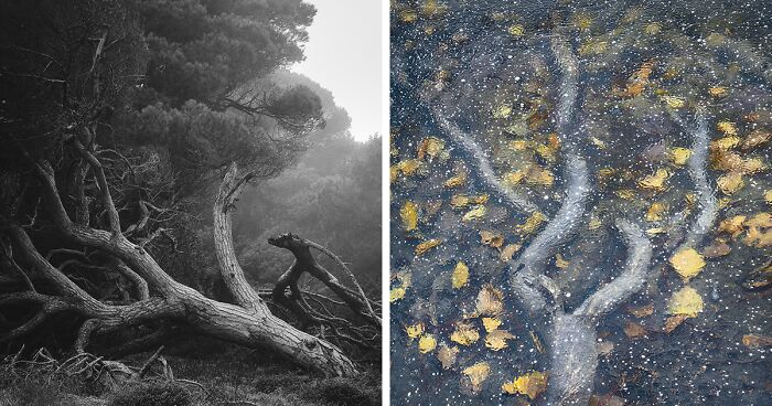 Best Natural Landscape Photos: Winners Of The Year 2023 Have Been Announced