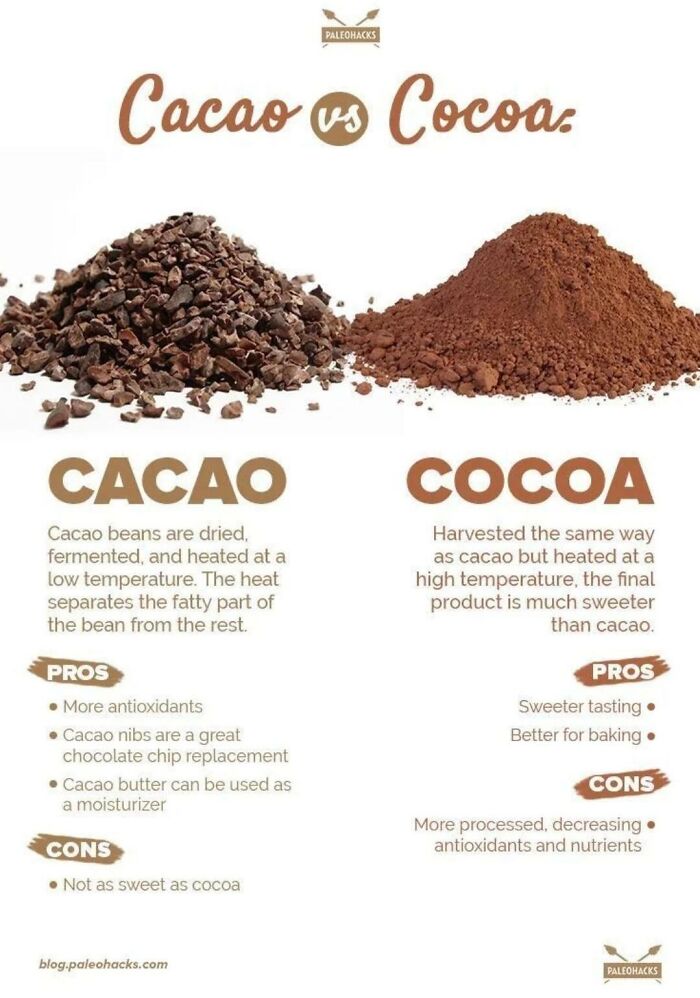 Cacao vs. Cocoa