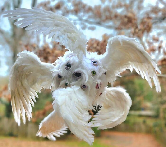 Christmas Angel Sculpture