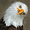 quizzicaleagle avatar