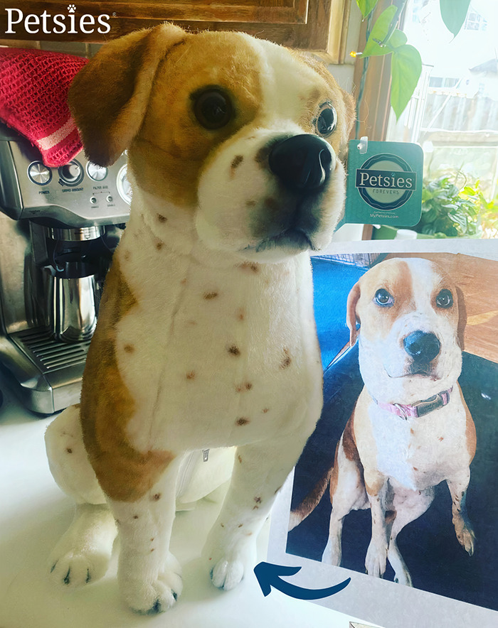 Owners Who Lost Their Pets Receive A Stuffed Clone Of Their Pet (52 New Pics)