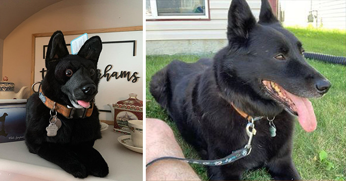 Owners Who Lost Their Pets Receive A Stuffed Clone Of Their Pet (52 New Pics)