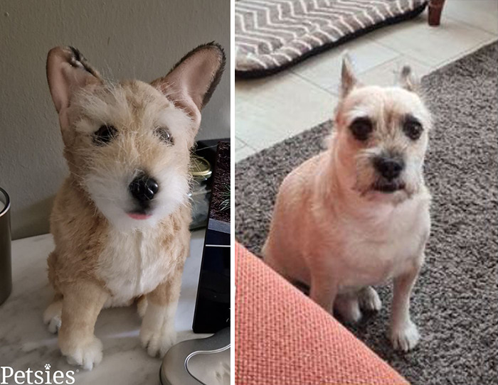 Owners Who Lost Their Pets Receive A Stuffed Clone Of Their Pet (52 New Pics)