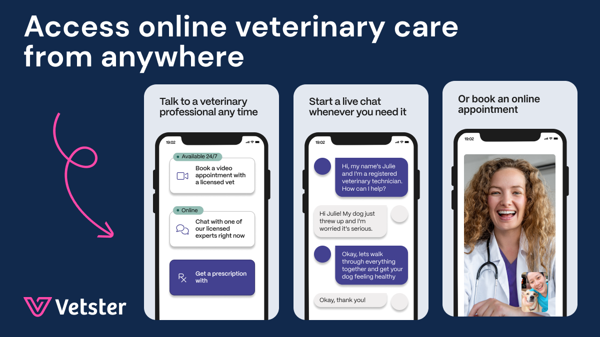 Vetster online consultation