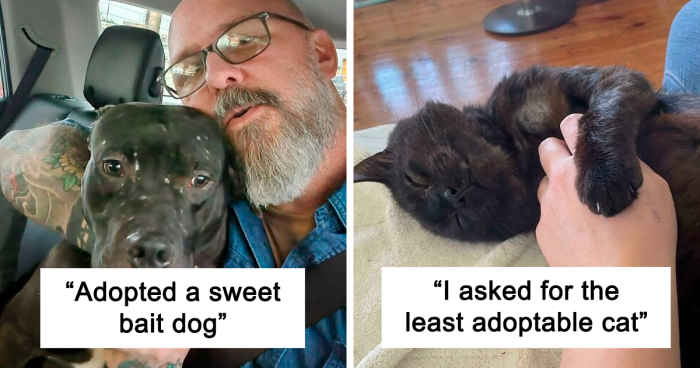 64 Adorable Pets Being Happy To Finally Be Home After Getting Adopted (November Edition)