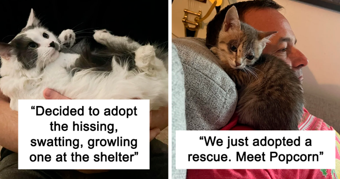 64 Wholesome Rescue Pet Photos To Do Wonders For Your Soul (November Edition)