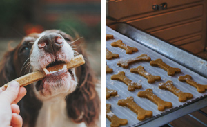 Christmas Dog Treats: Homemade Dog Treats