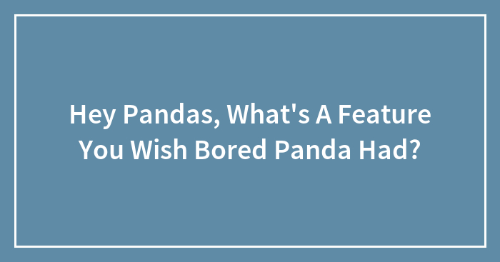 Hey Pandas, What’s A Feature You Wish Bored Panda Had? (Closed)