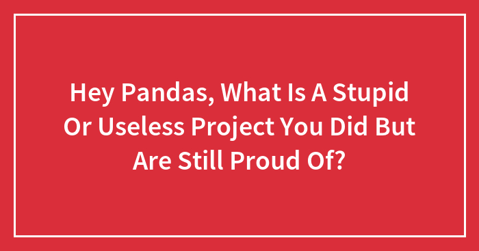 Hey Pandas, What Is A Stupid Or Useless Project You Did But Are Still Proud Of?