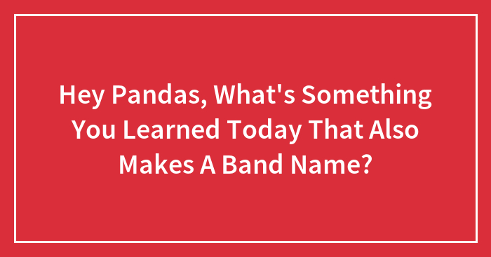 Hey Pandas, What’s Something You Learned Today That Also Makes A Band Name? (Closed)