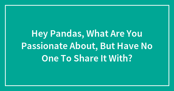 Hey Pandas, What Are You Passionate About, But Have No One To Share It With? (Closed)