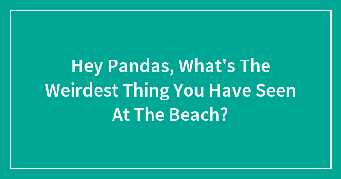 Hey Pandas, What’s The Weirdest Thing You Have Seen At The Beach? (Closed)