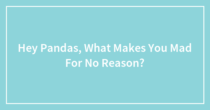 Hey Pandas, What Makes You Mad For No Reason? (Closed)