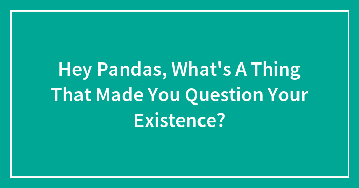 Hey Pandas, What’s A Thing That Made You Question Your Existence? (Closed)