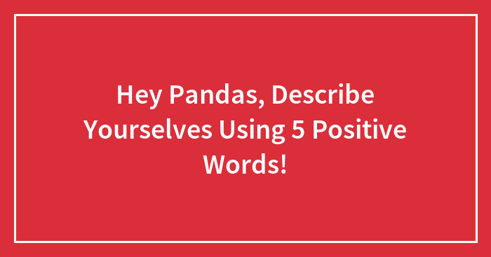 Hey Pandas, Describe Yourselves Using 5 Positive Words! (Closed)